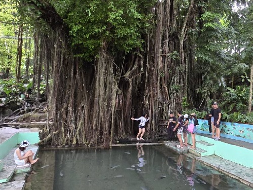 榕樹下小魚SPA - Balete Tree (with Fish Spa)